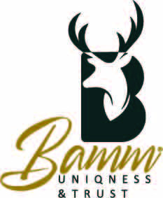 Bamm group