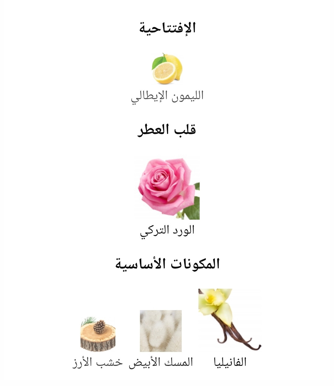 Perfume Vanilla Unisex Premium