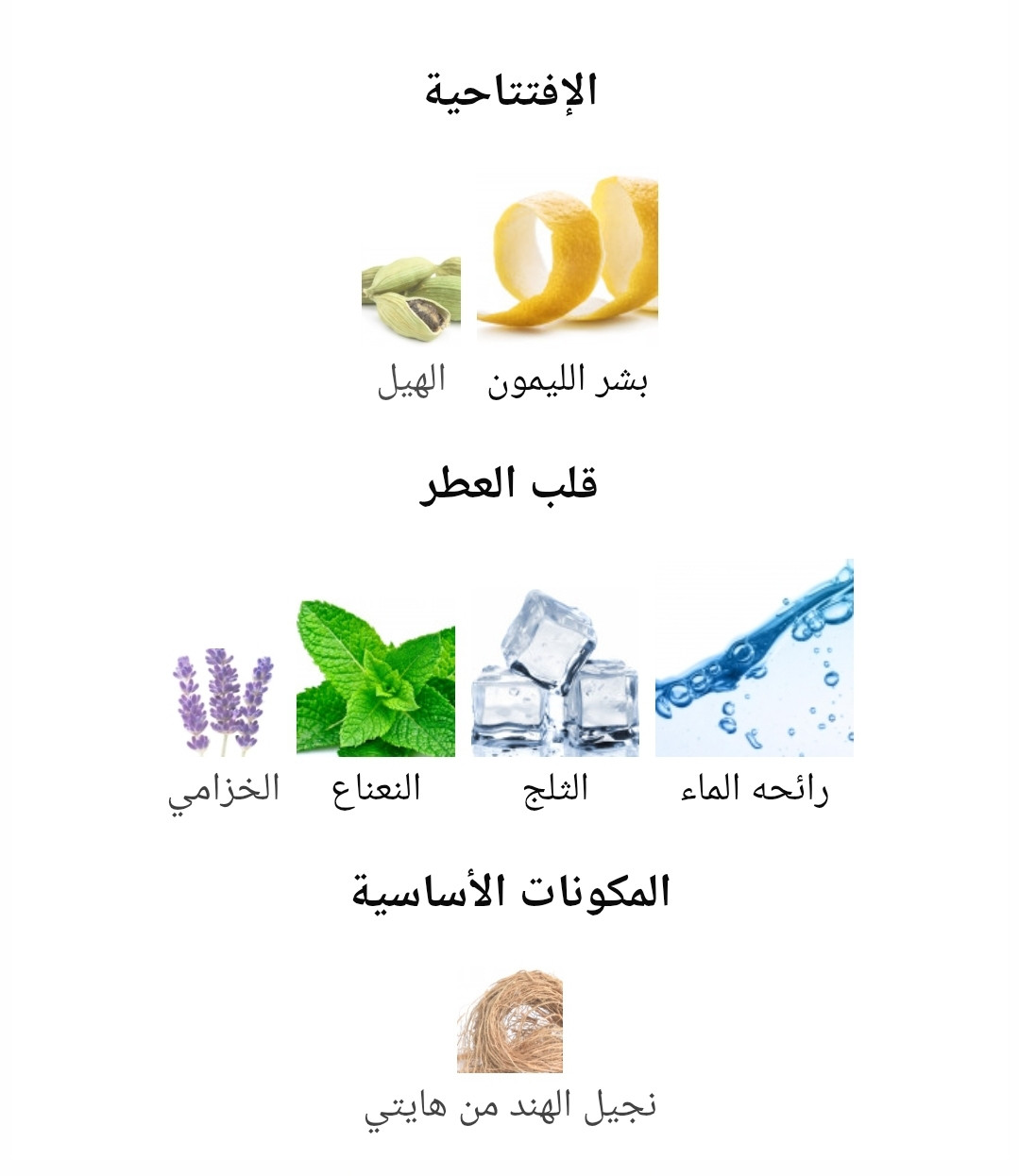 عطر اكوا دي جيو الرجالي